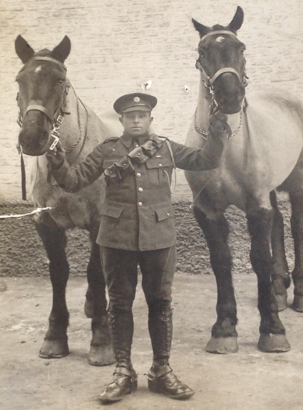 My Great, great grandfather. Not sure if he was really small or the horses really big. Circa WW1